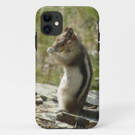 Golden-Mantled Ground Squirrel at Glacier Park Case-Mate iPhone Case (Achterkant)