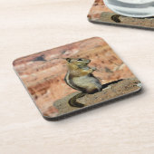 Golden Mantled Ground Squirrel Bier Onderzetter (Linkerzijde)