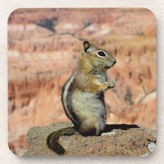 Golden Mantled Ground Squirrel Bier Onderzetter (Voorkant)