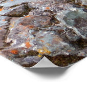 Golden Mantled Ground Squirrel bij Glacier II Poster (Hoek)