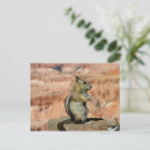 Golden Mantled Ground Squirrel Briefkaart (Staand voorkant)