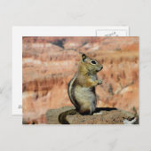 Golden Mantled Ground Squirrel Briefkaart (Voorkant / Achterkant)