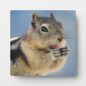 Golden Mantled Ground Squirrel Desktop Plaque Fotoplaat (Voorkant)