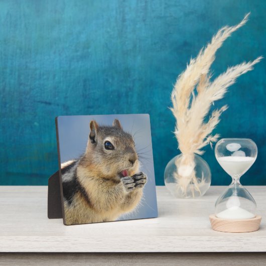 Golden Mantled Ground Squirrel Desktop Plaque Fotoplaat (Insitu)