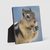 Golden Mantled Ground Squirrel Desktop Plaque Fotoplaat (Voorkant)