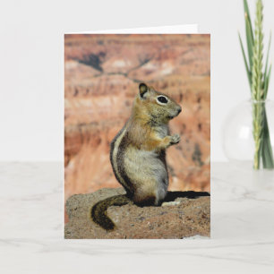 Golden Mantled Ground Squirrel Kaart