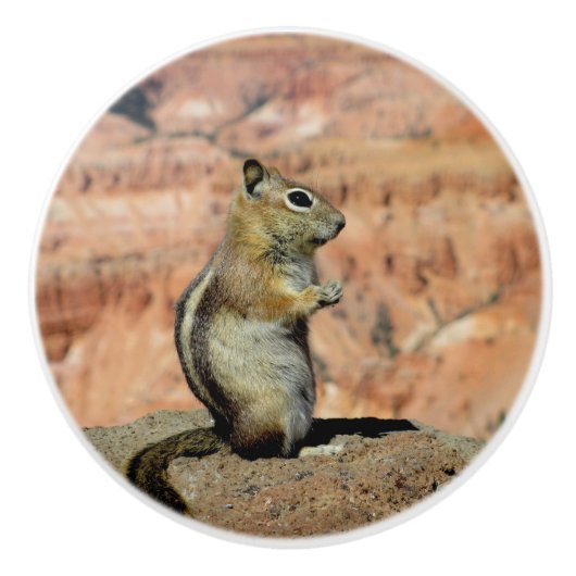Golden Mantled Ground Squirrel Keramische Knop (Voorkant)