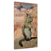 Golden Mantled Ground Squirrel Klembord (Rechts)