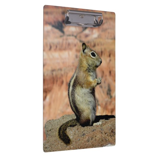 Golden Mantled Ground Squirrel Klembord (Rechts)