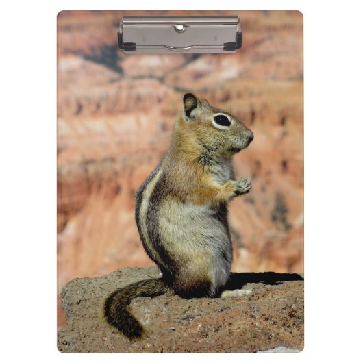 Golden Mantled Ground Squirrel Klembord (Voorkant)