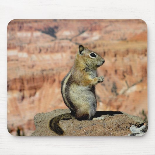 Golden Mantled Ground Squirrel Muismat (Voorkant)