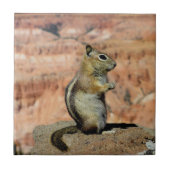 Golden Mantled Ground Squirrel Tegeltje (Voorkant)
