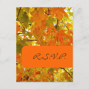 Golden Maple, RSVP briefkaarten, voor 5x7 uitnodig Uitnodiging Briefkaart