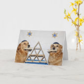 Golden Matzo Fun Pascha Kaart (Gele Bloem)