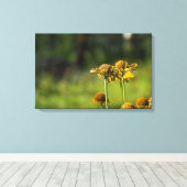 Golden Meadow Bloem Canvas Afdruk (Insitu (Houten vloer))