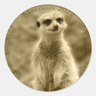 Golden Meerkat 2022 Munt, Stickers in ronde vorm