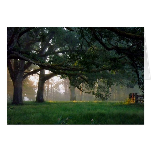 Golden Moment (Voorkant Horizontaal)