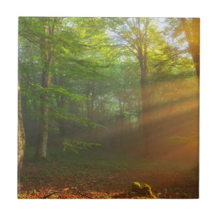 Golden Moment van licht Tegeltje