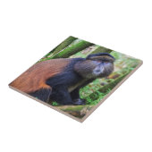 Golden Monkey, Rwanda Tegeltje (Zijkant)