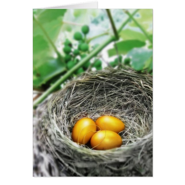 Golden Nest Eggs (Voorkant)