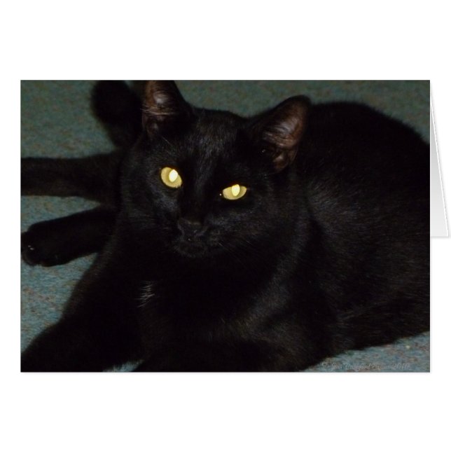 Golden ogen (Voorkant Horizontaal)