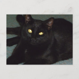 Golden ogen briefkaart