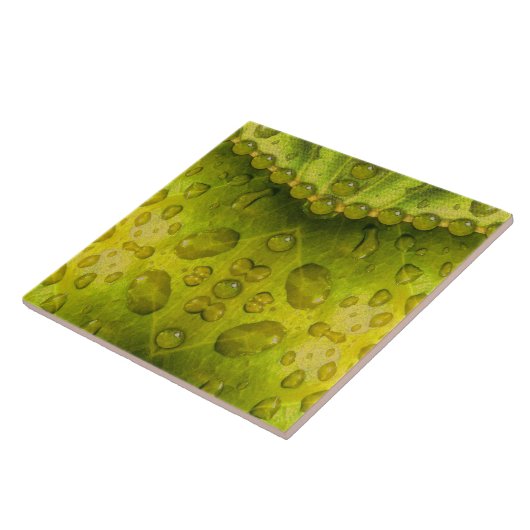 Golden Olive Envelope Tegeltje (Zijkant)