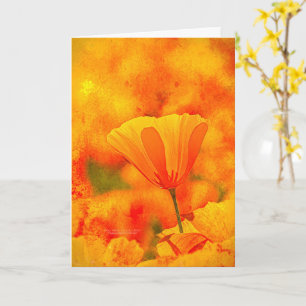 Golden Oranje California Poppy "Land van Sinaasapp Kaart