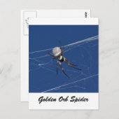 Golden Orb Spider Briefkaart (Voorkant / Achterkant)