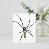 Golden Orb Spider Briefkaart (Staand voorkant)