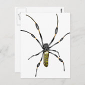 Golden Orb Spider Briefkaart (Voorkant / Achterkant)