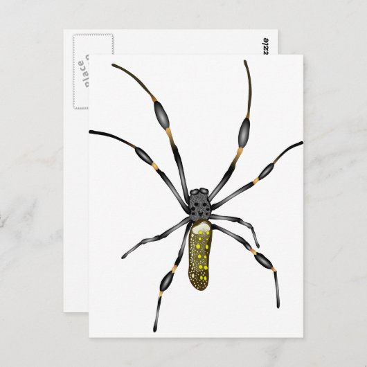 Golden Orb Spider Briefkaart (Voorkant / Achterkant)