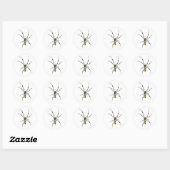 Golden Orb Spider Ronde Sticker (Vel)