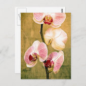 Golden Orchids Briefkaart (Voorkant / Achterkant)