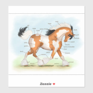 Golden Overo Gypsy Vanner Pony Horse Anatomy Chart Sticker