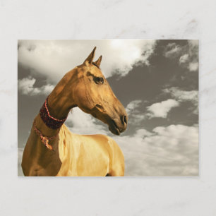 Golden paard van Turkmenistan Briefkaart