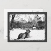 Golden par Conservatory Water-Central Park Carte p