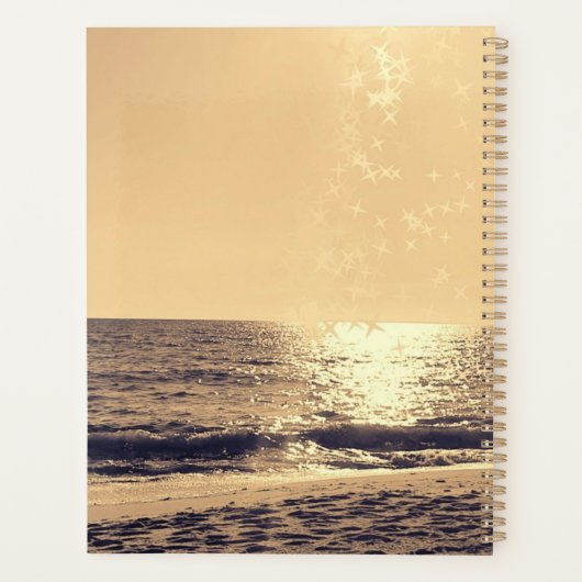 Golden Path Planner (Achterkant)