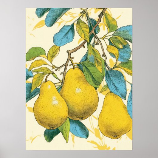 Golden Pear Poster (Voorkant)