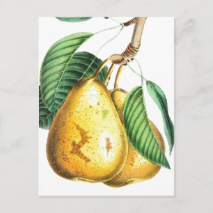Golden pear Recipe Card Briefkaart