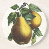 Golden Pears Zandsteen Onderzetter (Voorkant)