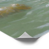 GOLDEN PELICAN POSTER (Coin)