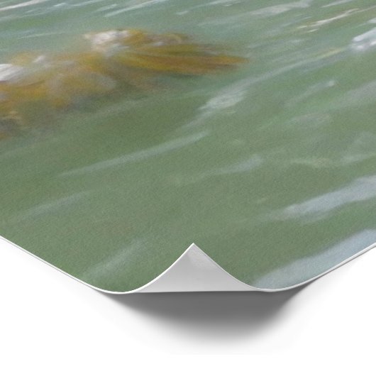 GOLDEN PELICAN POSTER (Coin)