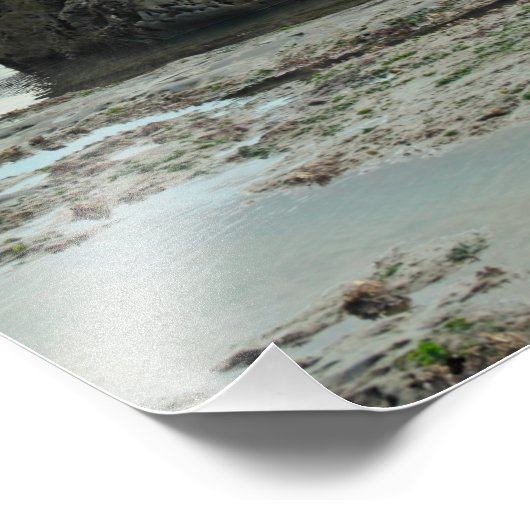 Golden Pet, Dorset Foto Afdruk (Hoek)