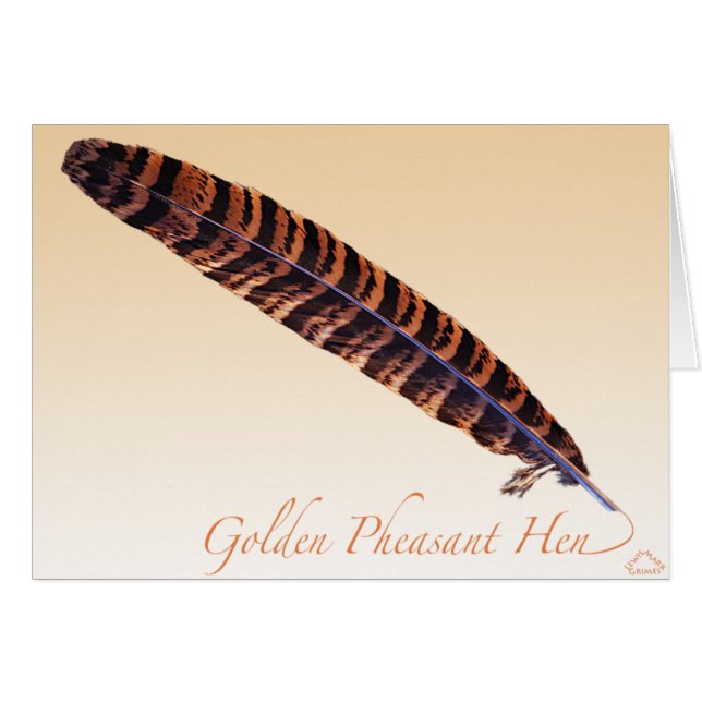Golden Pheasant Hen Tail (Voorkant Horizontaal)