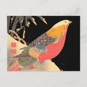 Golden Pheasant in de sneeuwpop Itô Jakuchã vogelk Briefkaart