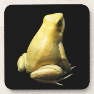 Golden Poison Frog Bier Onderzetter