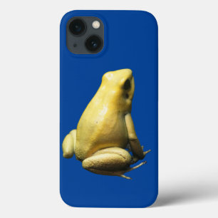Golden Poison Frog iPhone 13 Hoesje