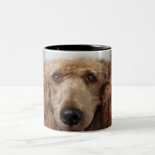 Golden Poodle Dog met een witte clown costuum Tweekleurige Koffiemok
