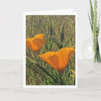 Golden Poppies (Inside Blank) Kaart